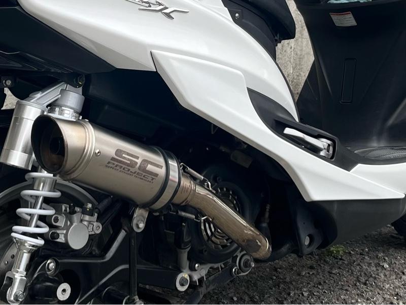不明 触媒型インナーサイレンサー のパーツレビュー | シグナスX SR(趣味の範囲) | みんカラ