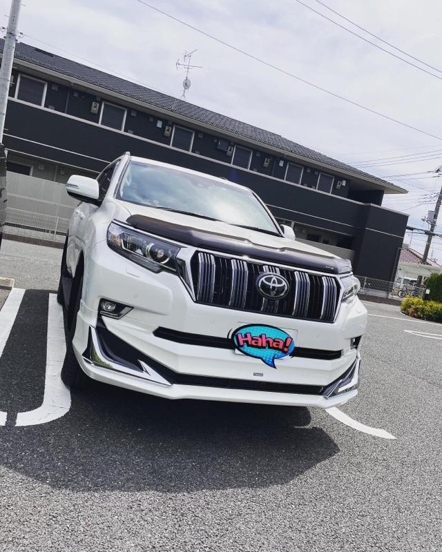 みんカラ大賞受賞】プラド150後期 バグガード ボンネット