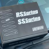 LARGUS RSスプリング