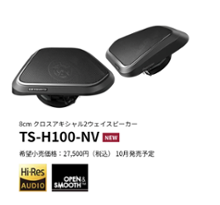 TS-H100-NV