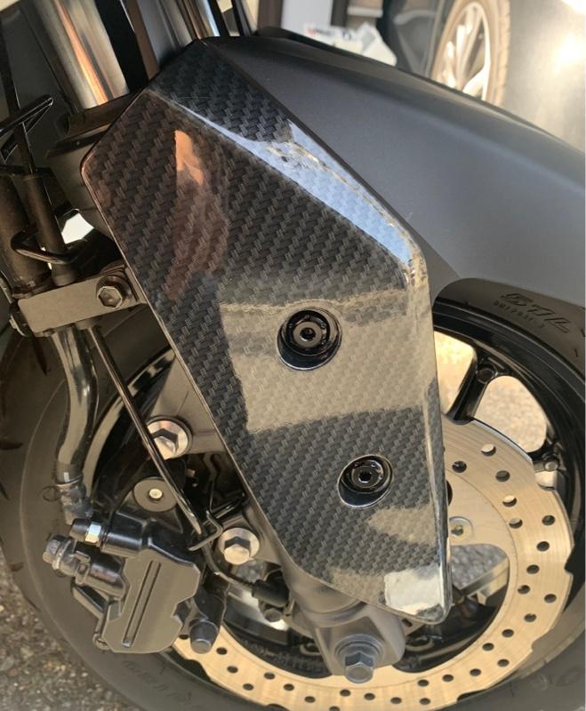 台湾純正オプション カーボン調フェンダーカバー＋フェンダー