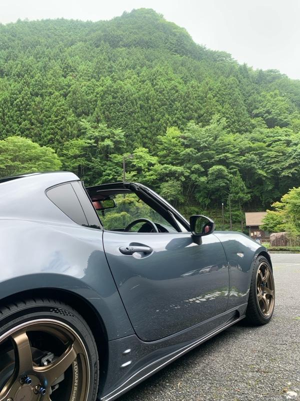 LEG MOTOR SPORT GT-A サイドステップ/カーボンサイドステップ