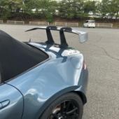 VOLTEX GTウイングTYPE12B SN