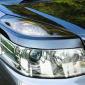 POLARG SILVER COATING BULB