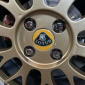 lotus  ロータス