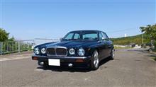 気まぐれトンボさんのDAIMLER