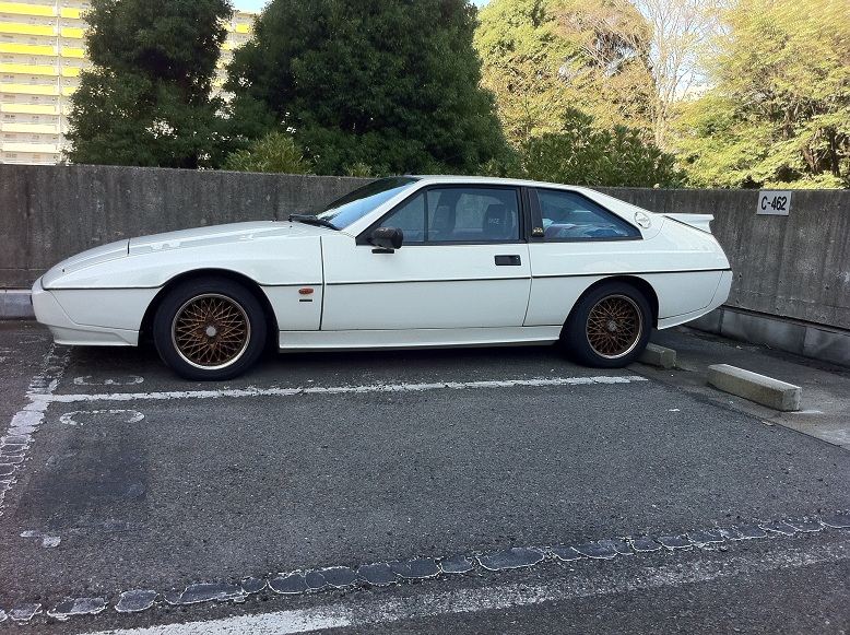 虎六さんのエクセル