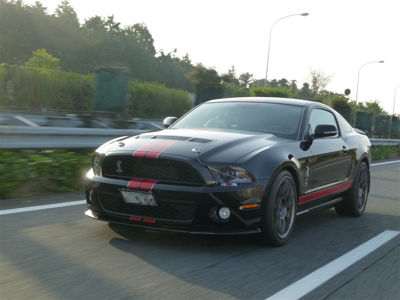 yasuGT500さんのシェルビー