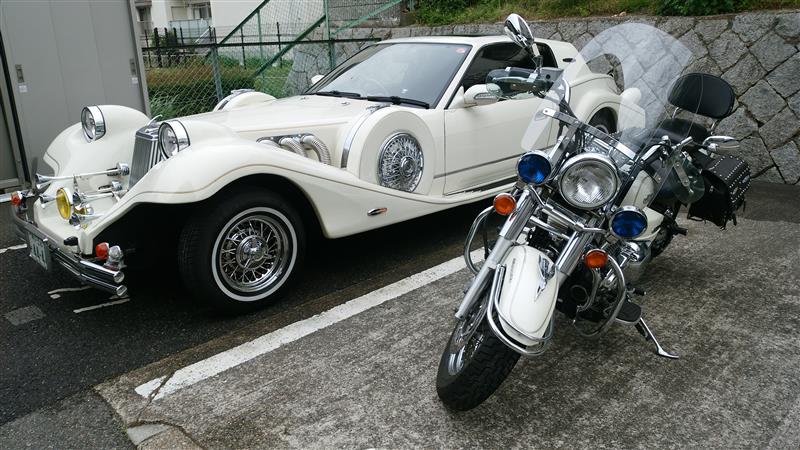 mahirunofukurouさんのラ・セード