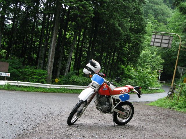 えぼ@ME06さんのXR250R