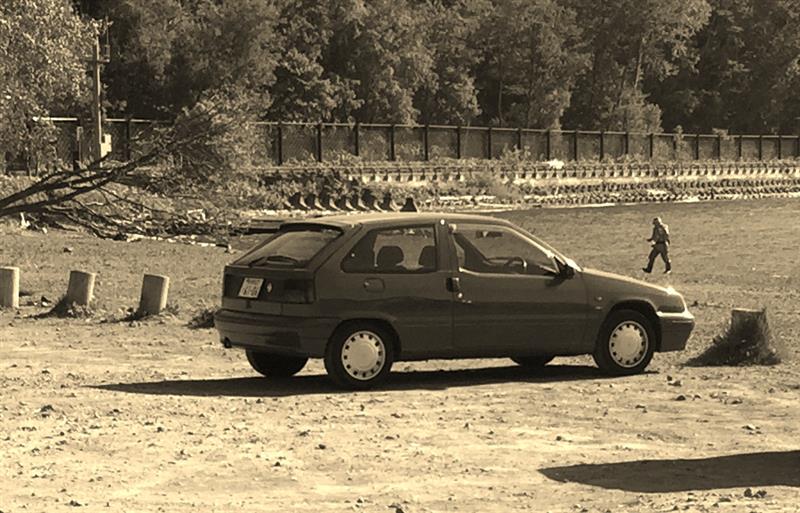 citroさんのZX