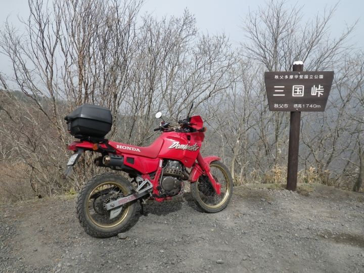 しなのさんのNX650 DOMINATOR (ドミネーター)
