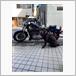 ハーレーダビッドソン スポーツスターXLシリーズ