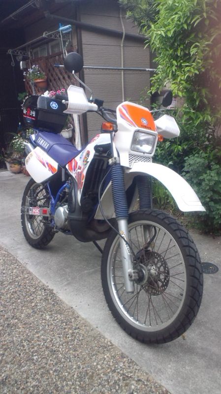 エトセラさんのDT125R