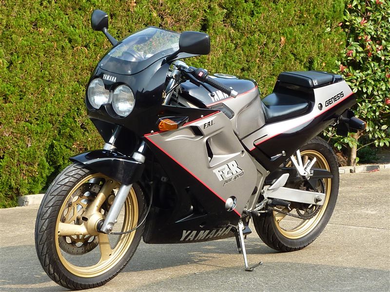 skinskiさんのFZR250