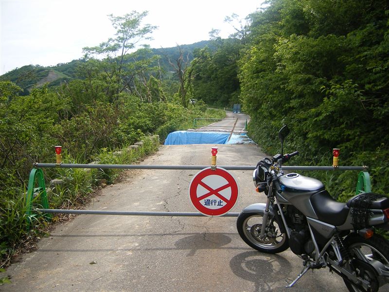 ぽち(陸封型)さんのCS250