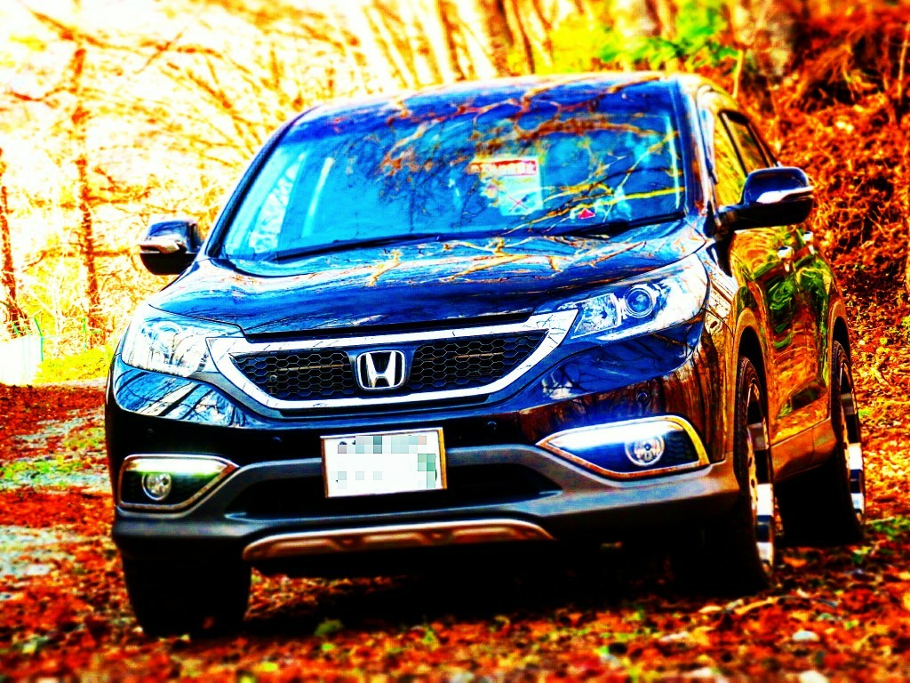 NESTA☆さんのCR-V
