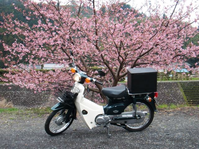ぶらんさんのスーパーカブ50 SDX