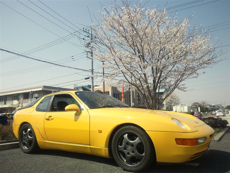 hayahayatooさんの968