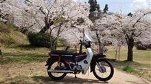 ラッピィさんのSuperCub100EX