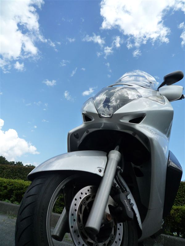 hanachiyoさんのシルバーウイング600