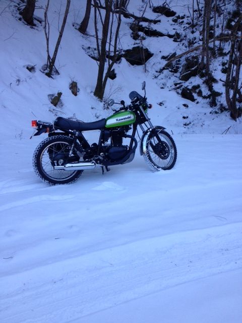 テリスティさんの250TR