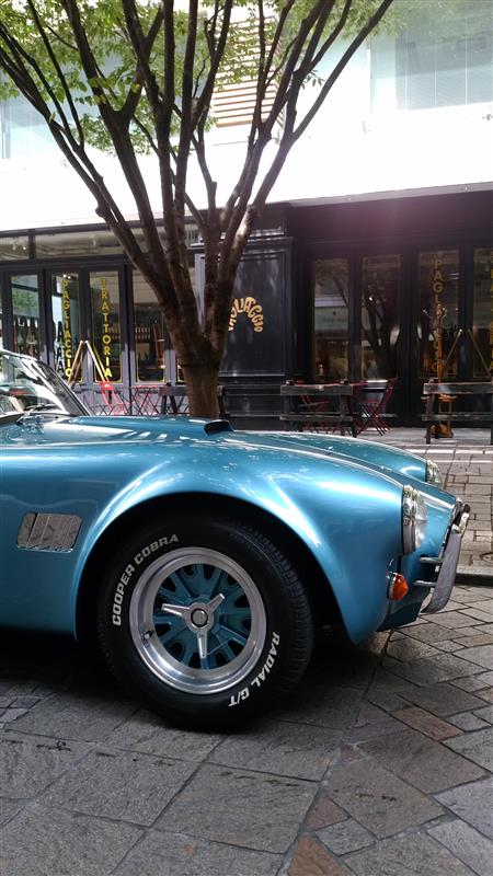 mr.KさんのコブラMk VI
