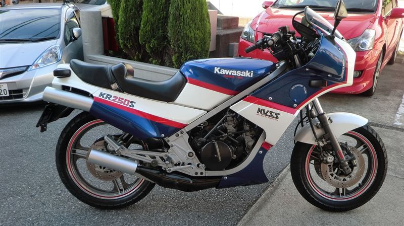 masa0216さんのKR250S