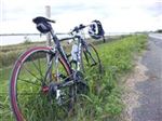 イタリアその他 クオータ ケベル