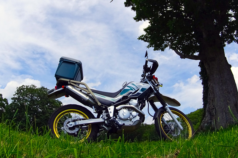 COZY+さんのセロー250