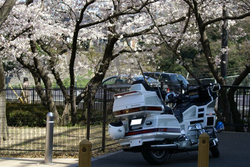 銀くじらさんのゴールドウイング(GL1500SE)