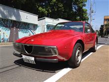 魚青さんのJunior_Z