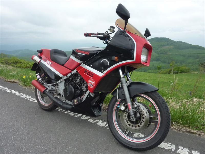 2st_junkieさんのKR250S