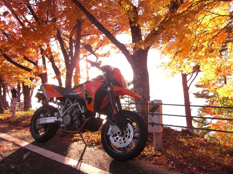NIZEEBさんのKTM950スーパーモト