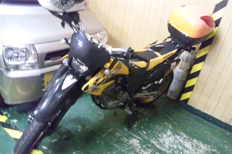 うかつな奴さんのXR230 モタード