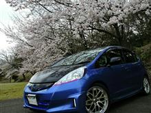 フィットハイブリッド | 愛車紹介 - みんカラ (GP1/4)