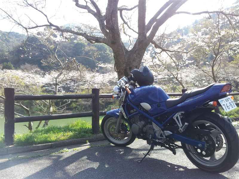 陽乃パパさんのバンディット250