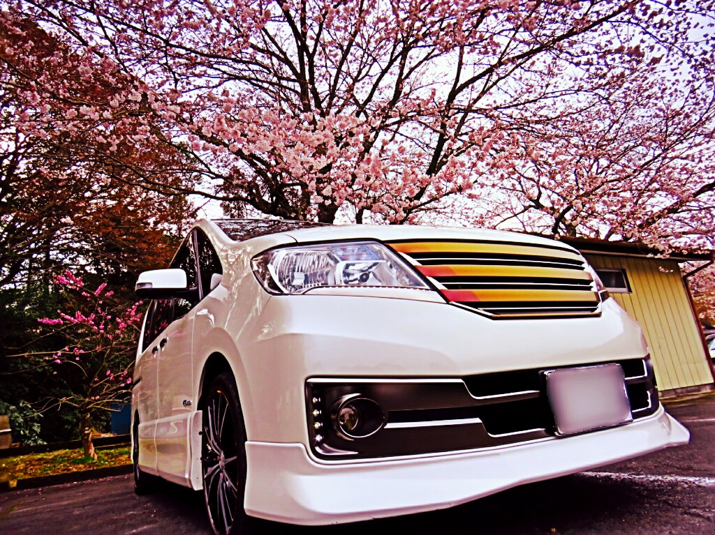 Riaさんのセレナハイブリッド
