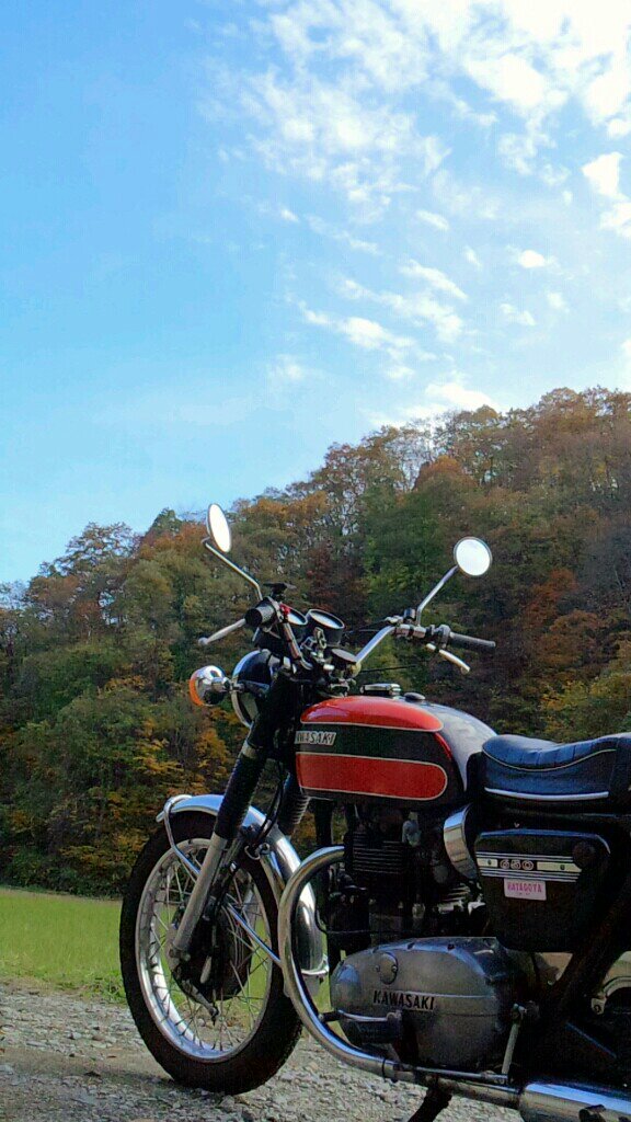 十代目さんのW1S (ダブワン)