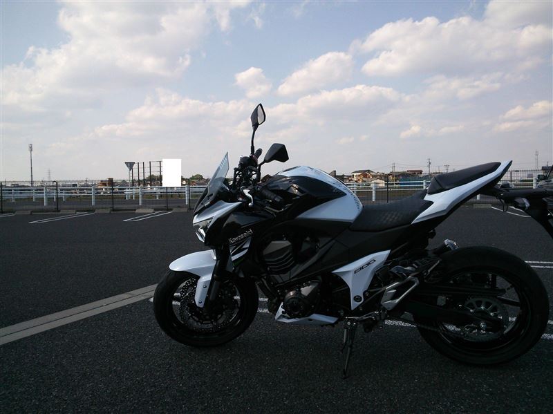 へみゅさんのZ800