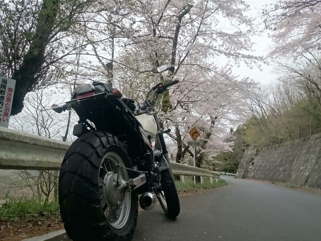 【もっちゃん】さんのTW225E