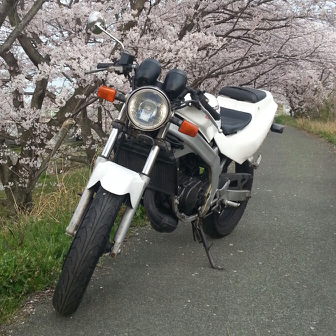 @96.comさんのウルフ125