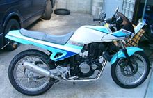 kamoairさんのNZ250