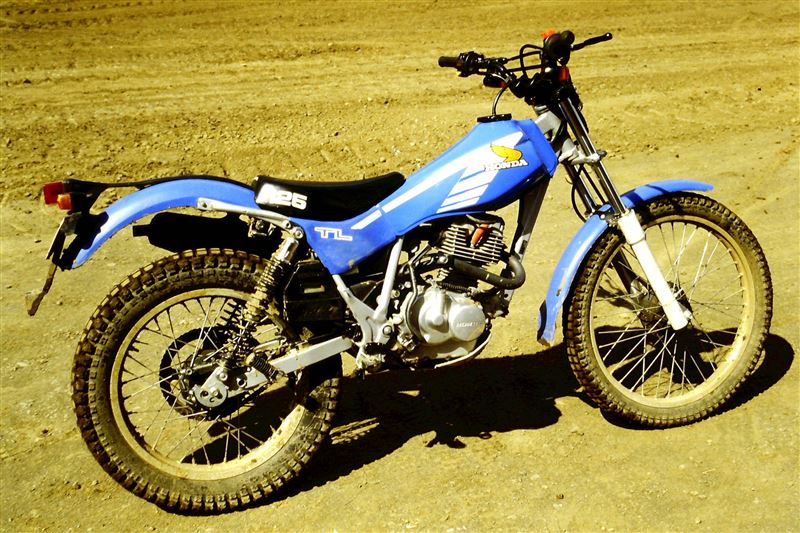 minatorico-racingさんのTL125