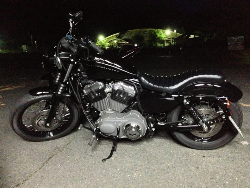 ネコ戦士さんのスポーツスター1200N
