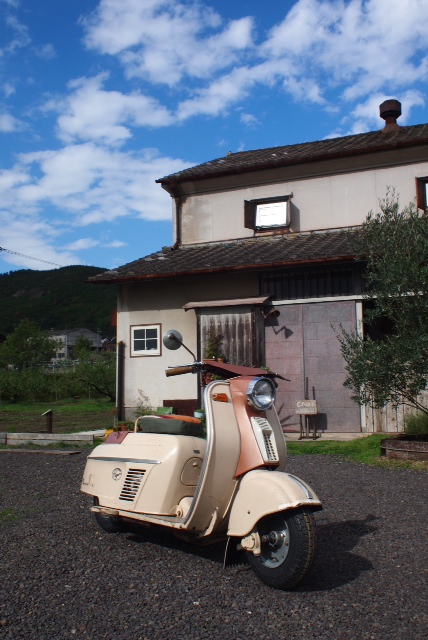 S37HiZさんのシルバーピジョン