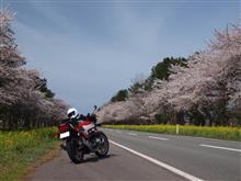 RedRidersさんのCB750F BOL D'OR 2 (ボルドール2) リア画像