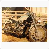 タビさんからのさんのSTEED400