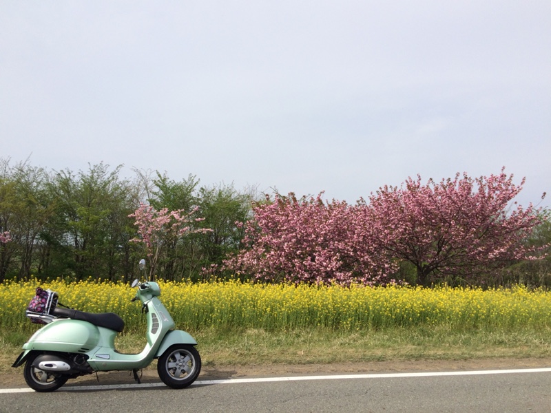 けゐこさんのベスパ GT125L
