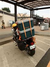 Earl Grayさんのダイナファットボブ リア画像